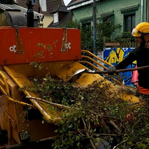 l embellie des exterieurs broyage de branches apres elagage