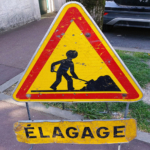 Élagage